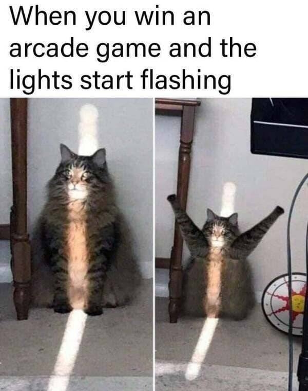 funnymemes510_024