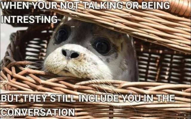 funnymemes510_027