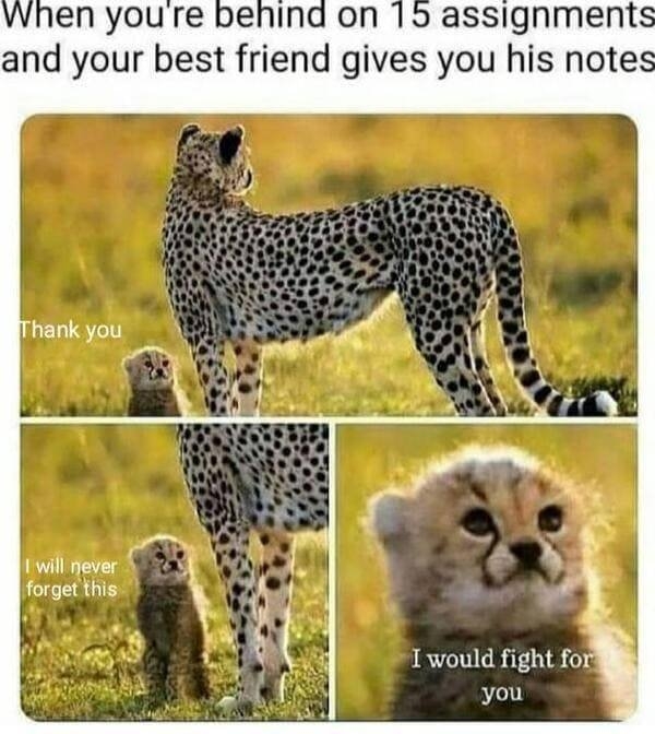 funnymemes510_029