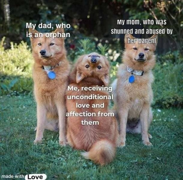 funnymemes510_040