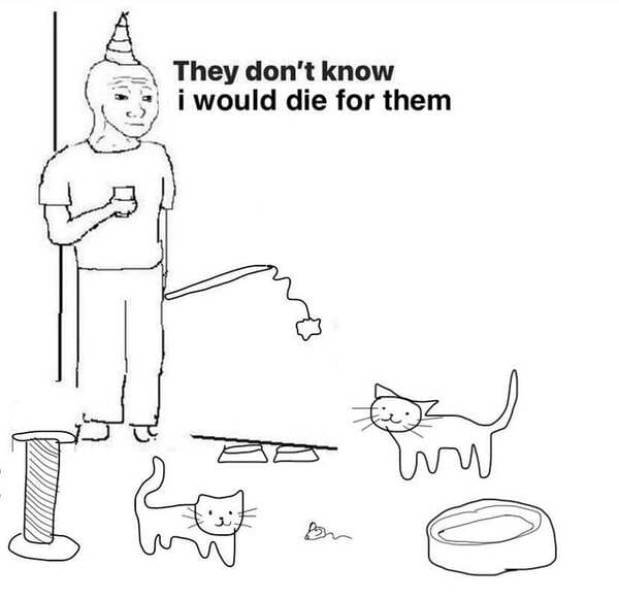 funnymemes511_004