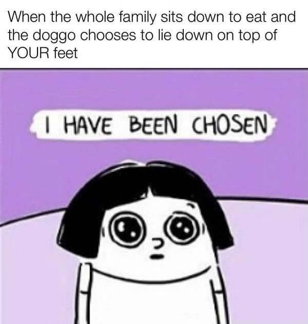 funnymemes511_005