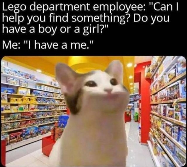 funnymemes511_012
