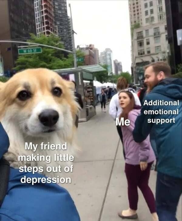 funnymemes511_014