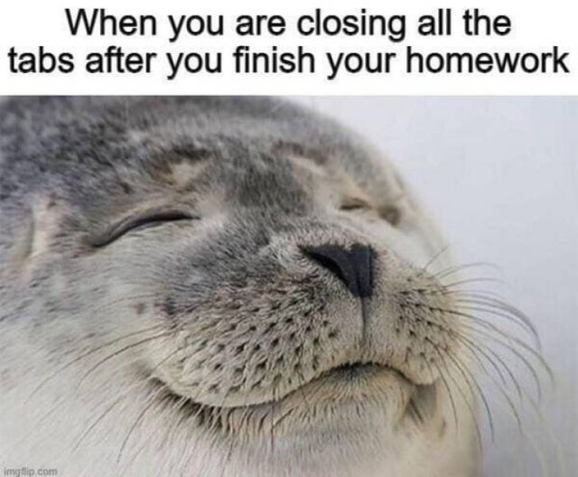 funnymemes511_015