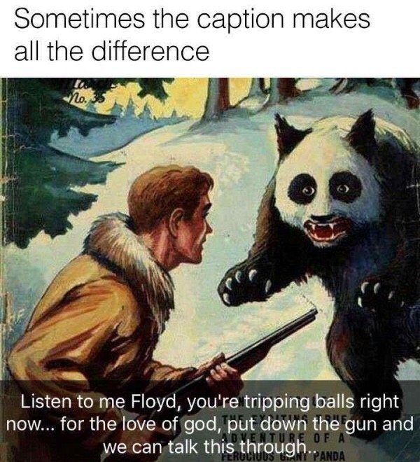 funnymemes511_028