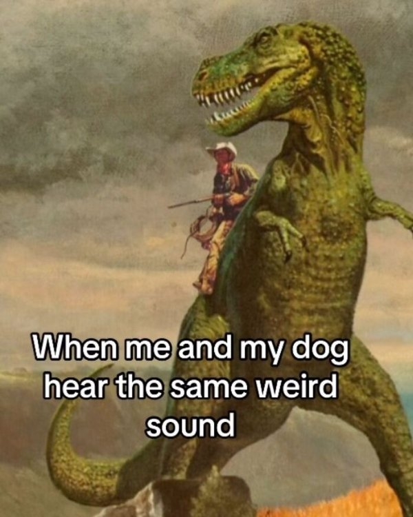 funnymemes512_040