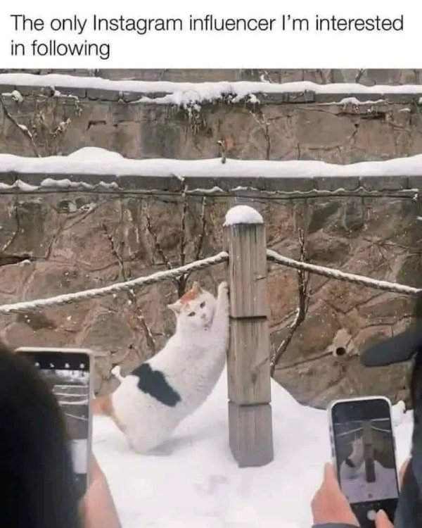 funnymemes513_028