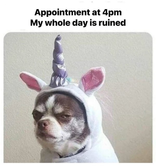funnymemes513_031