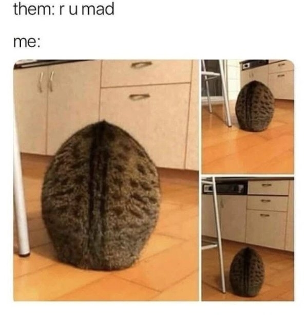 funnymemes513_034