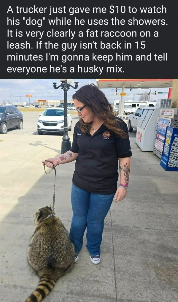 funnymemes513_036
