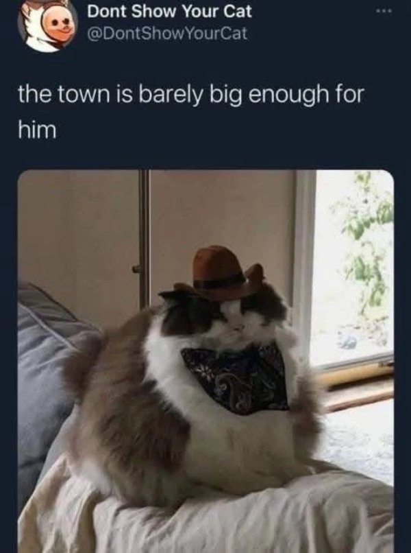funnymemes513_040