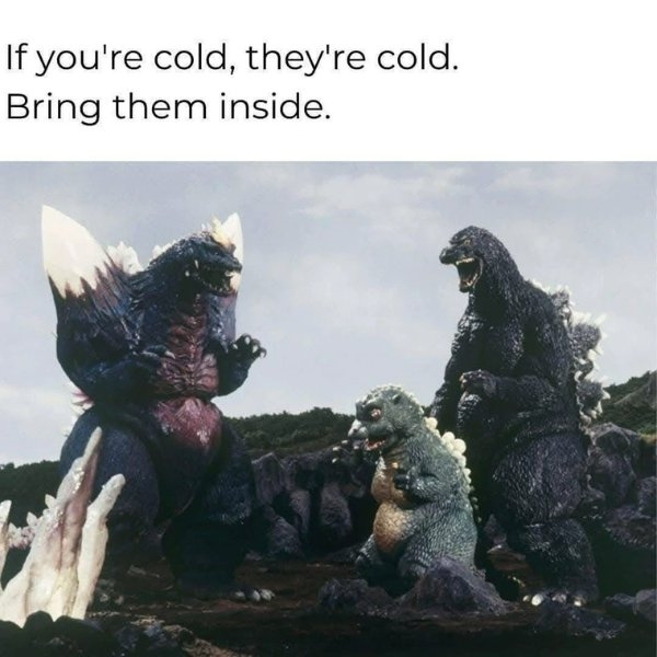 funnymemes514_006