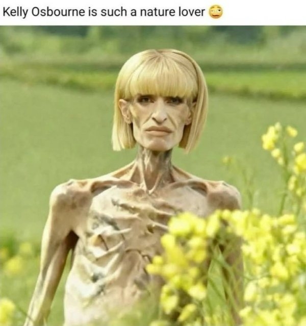 funnymemes514_016