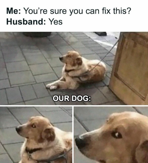 funnymemes514_021