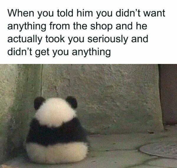 funnymemes515_004