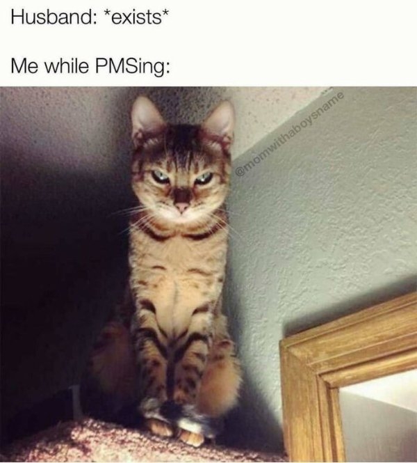 funnymemes515_005