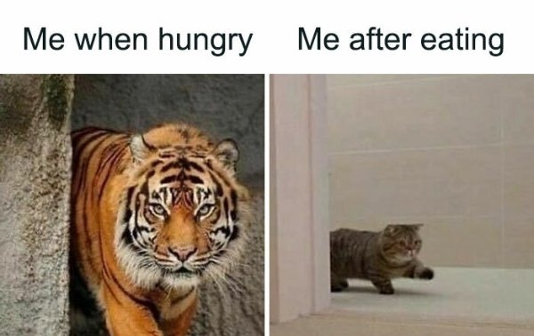 funnymemes515_010