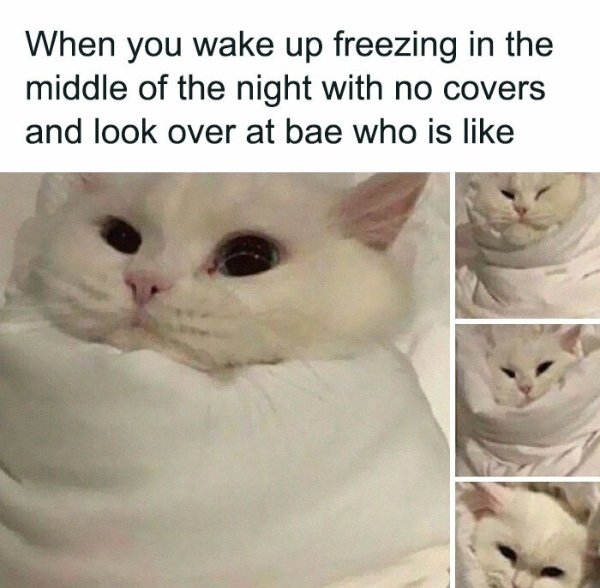 funnymemes515_015