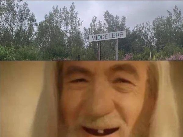 funnymemes516_002
