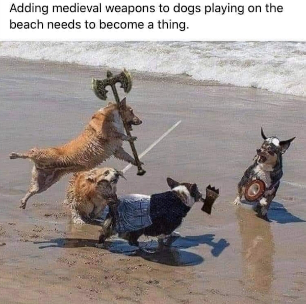 funnymemes516_006