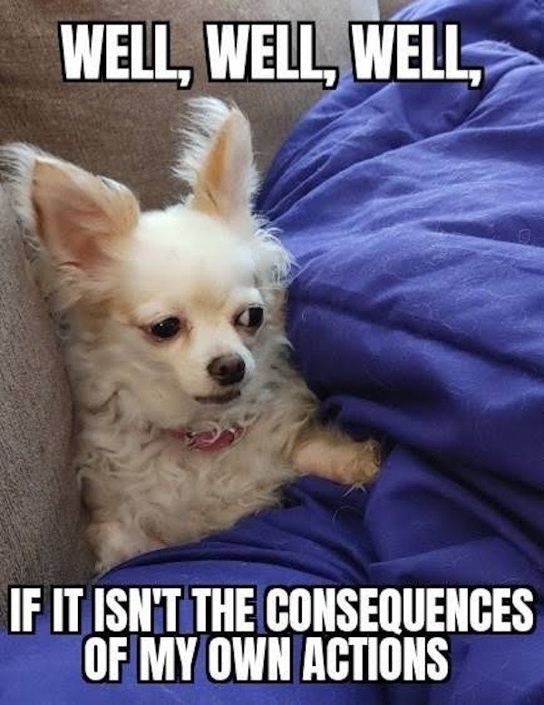 funnymemes516_011