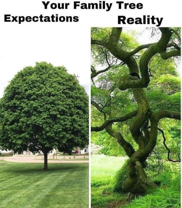 funnymemes516_013