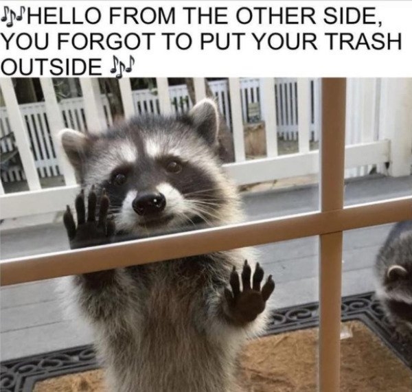funnymemes516_024