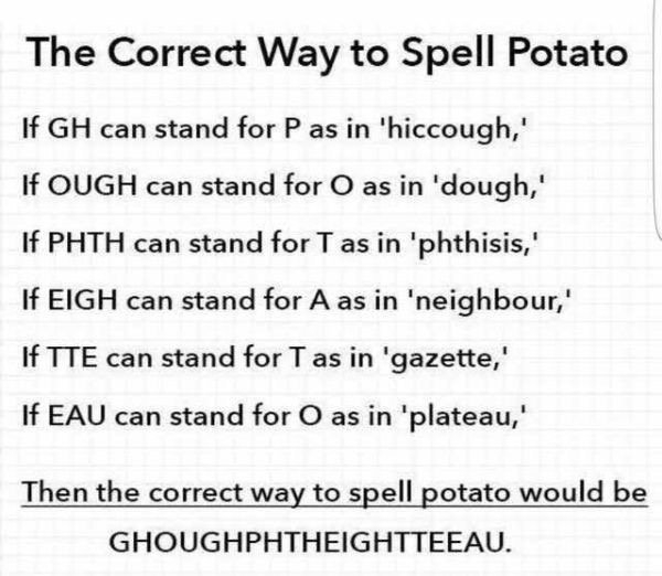 funnymemes517_025
