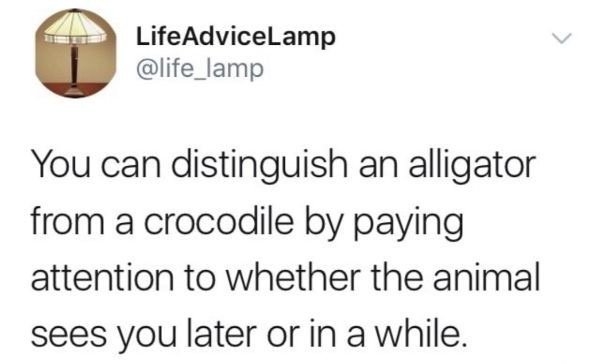 funnymemes518_008