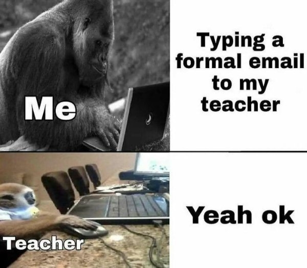 funnymemes518_025
