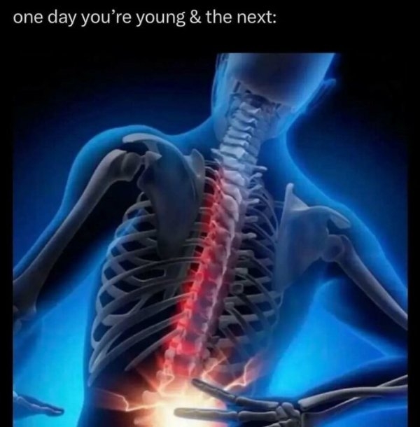 funnymemes518_027