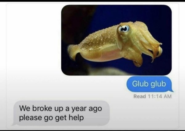 funnymemes518_030