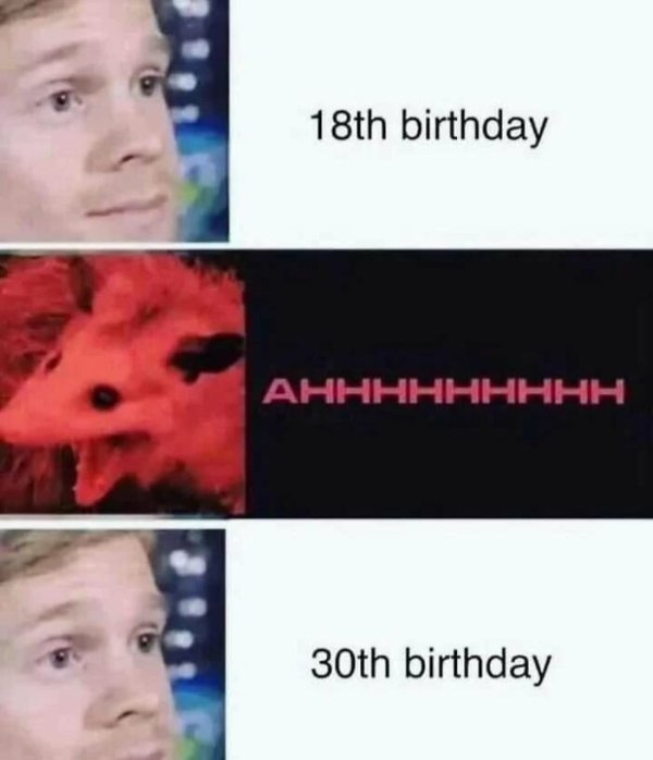 funnymemes518_040