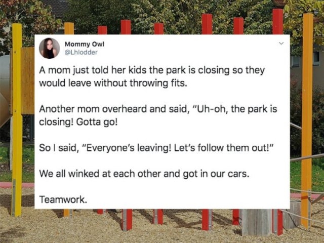 funnymemes519_022