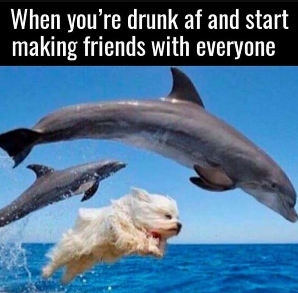 funnymemes520_001