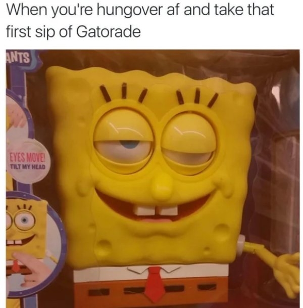 funnymemes520_005