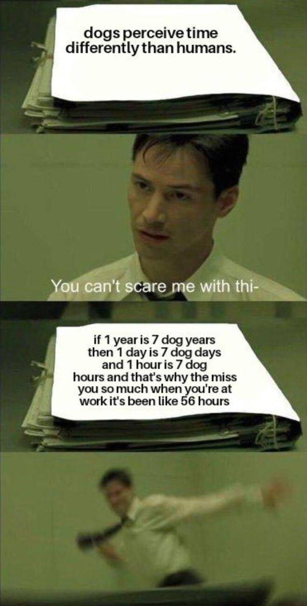 funnymemes520_014