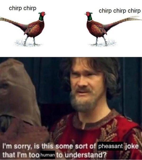 funnymemes520_015