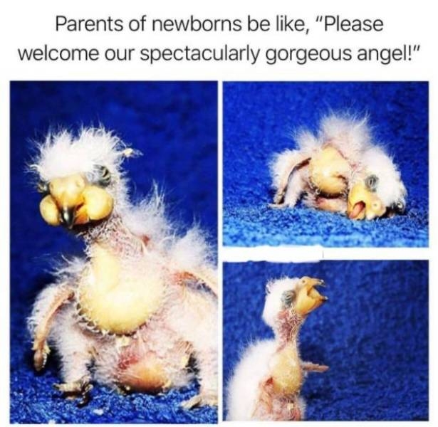 funnymemes520_024