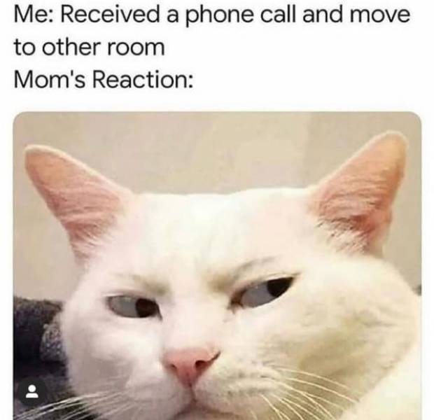 funnymemes520_025