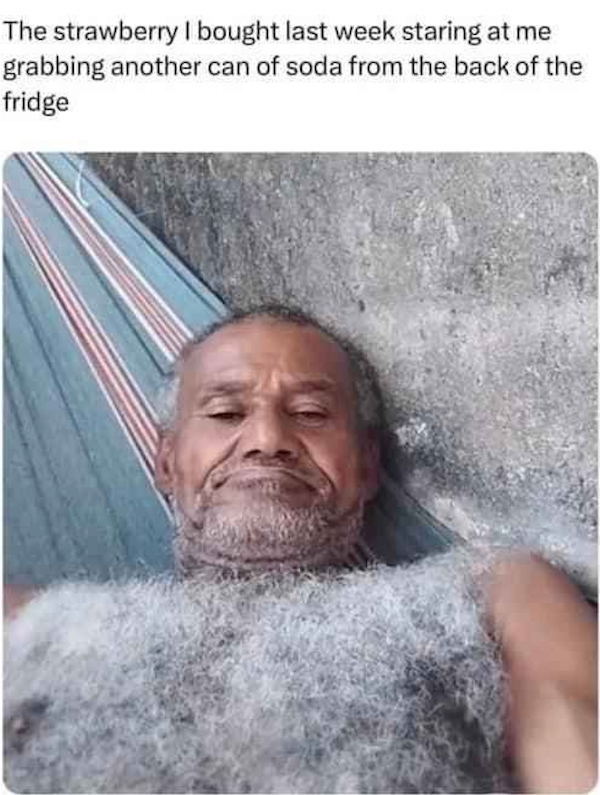 funnymemes521_018