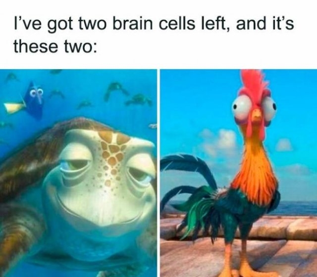 funnymemes522_001