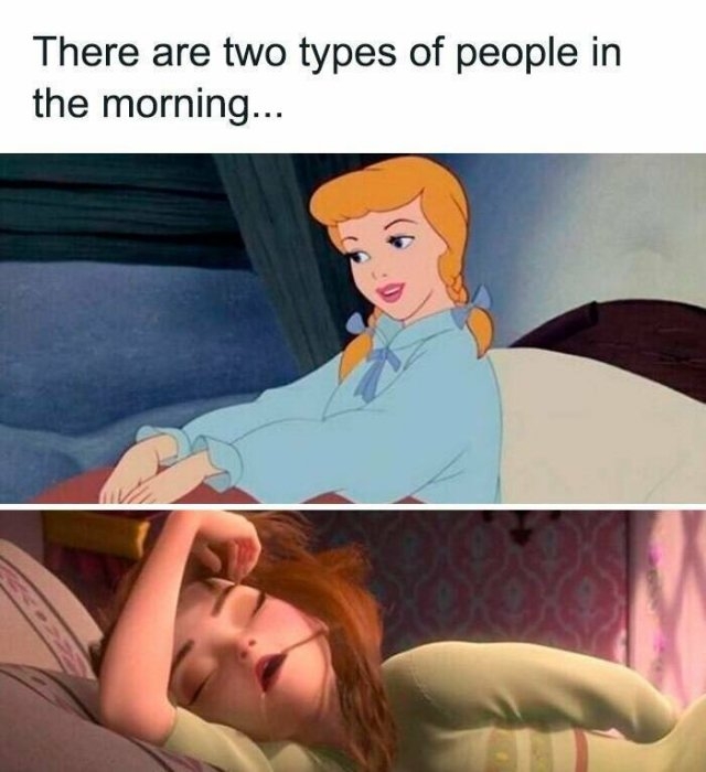 funnymemes522_004