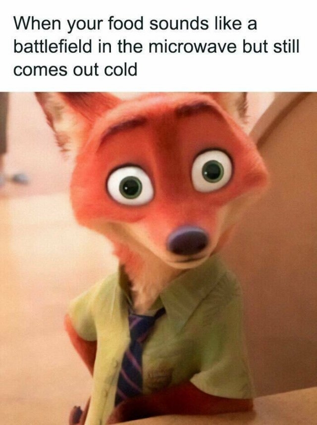 funnymemes522_009