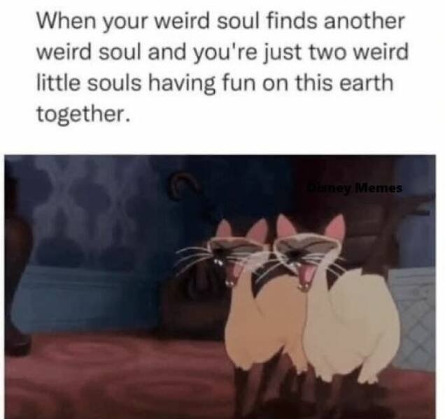 funnymemes522_021