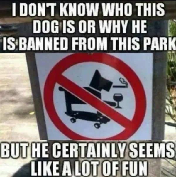 funnymemes522_026