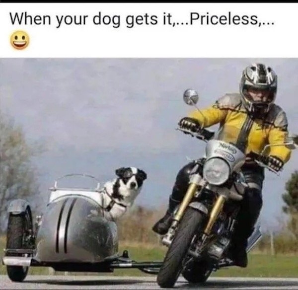 funnymemes522_027