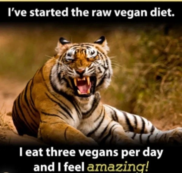 funnymemes522_040