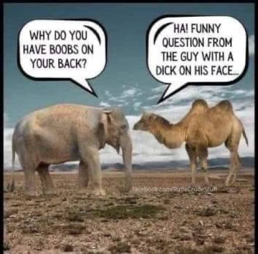 funnymemes524_025